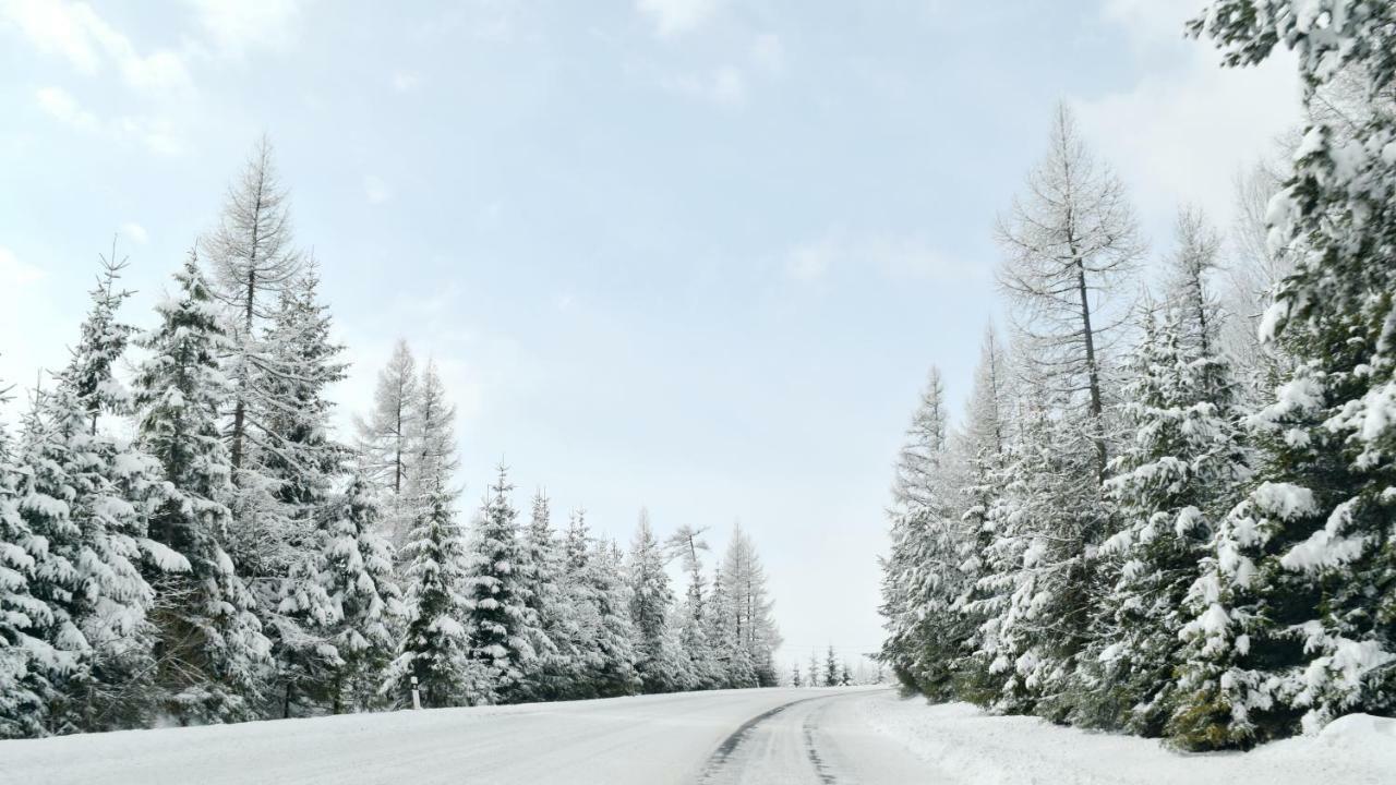 马里亚纳公寓 Vysoké Tatry 外观 照片