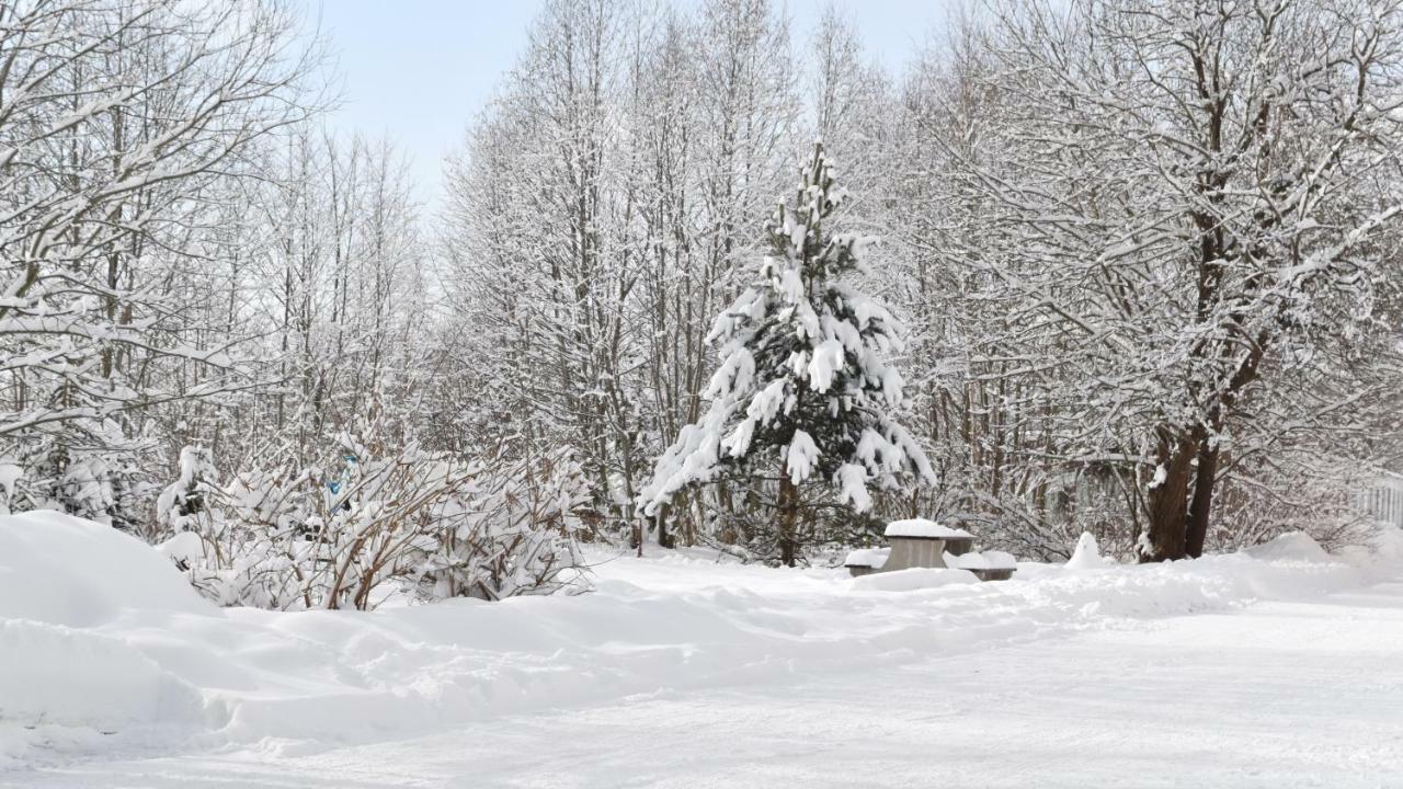 马里亚纳公寓 Vysoké Tatry 外观 照片
